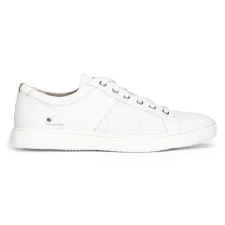 Men's Colle Lace-to-Toe Sneaker