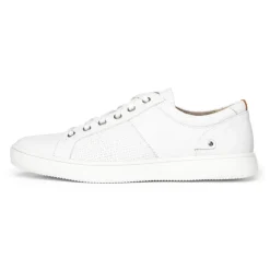 Men's Colle Lace-to-Toe Sneaker